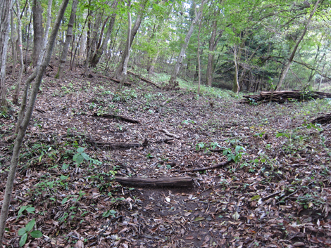 20191031hike (126)